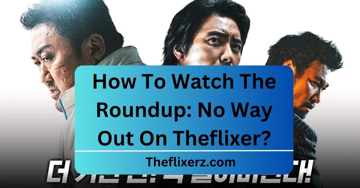 How To Watch The Roundup: No Way Out On Theflixer?