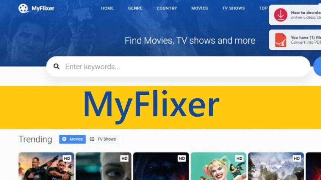 What Is Theflixer? – For Those Who Don’t Know!