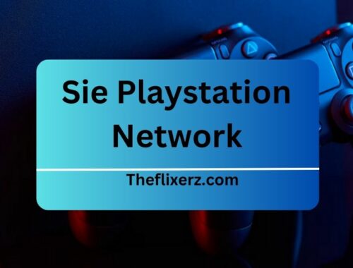 Sie Playstation Network