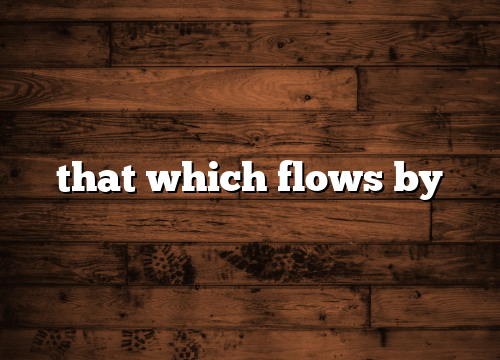 that which flows by